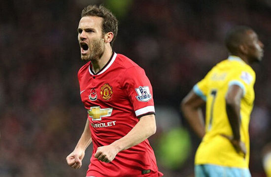 绿色环保的 绿色环保的